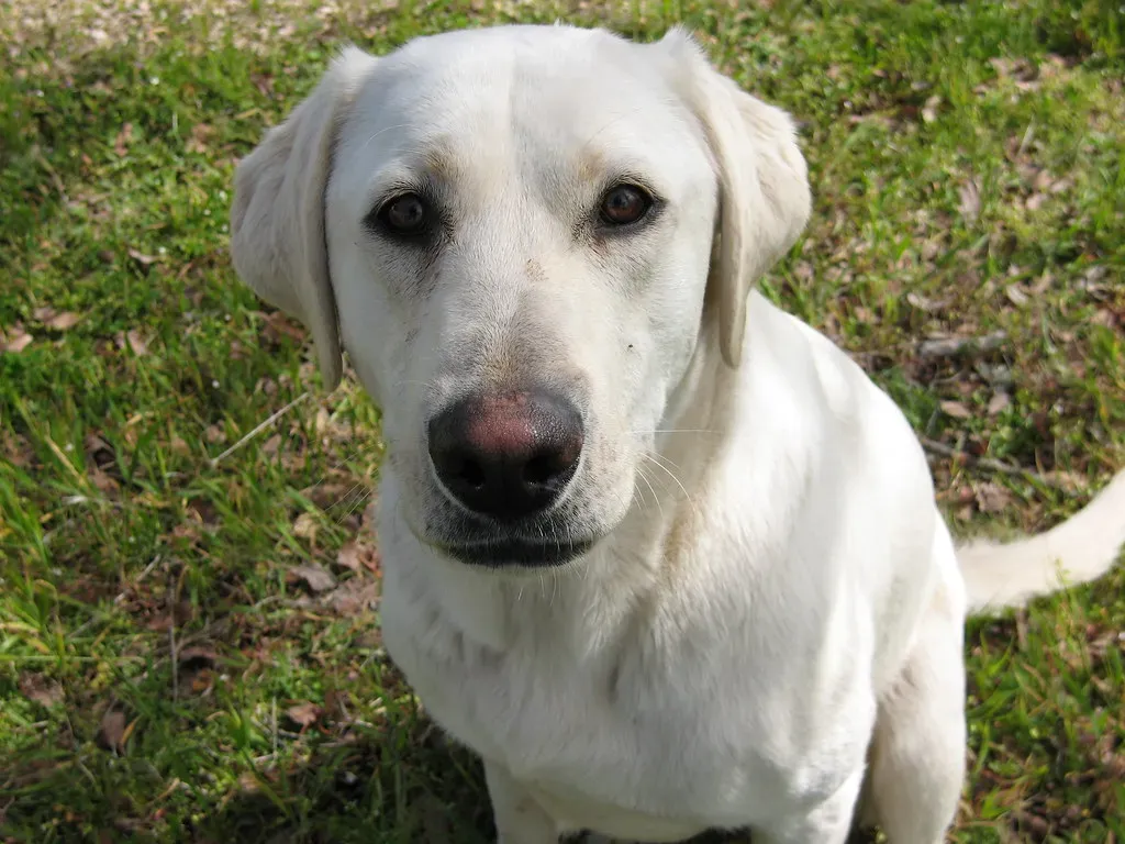 Minnesota: Northern Exposure to Ticks (Image Credits: Flickr)