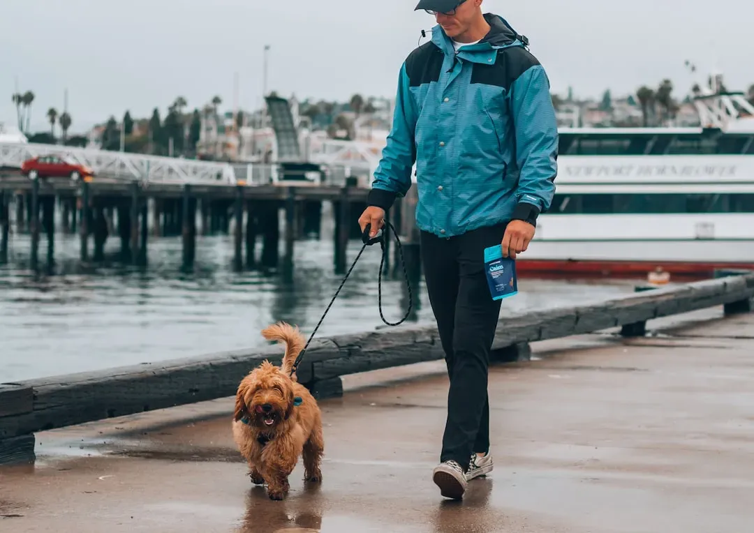 Walking Pattern Changes Start at the Paws (Image Credits: Unsplash)