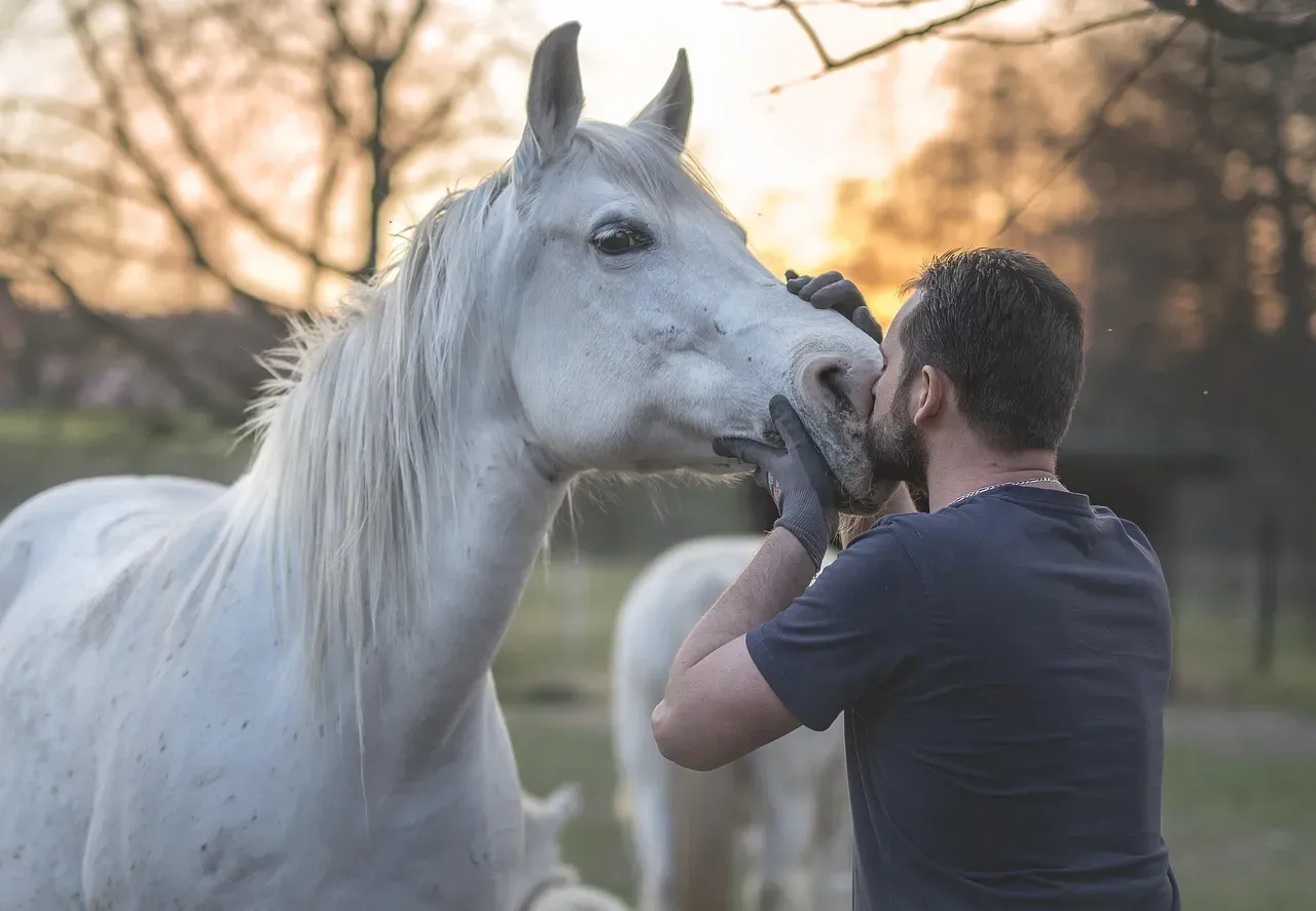 2. Arabian (Image Credits: Pixabay)