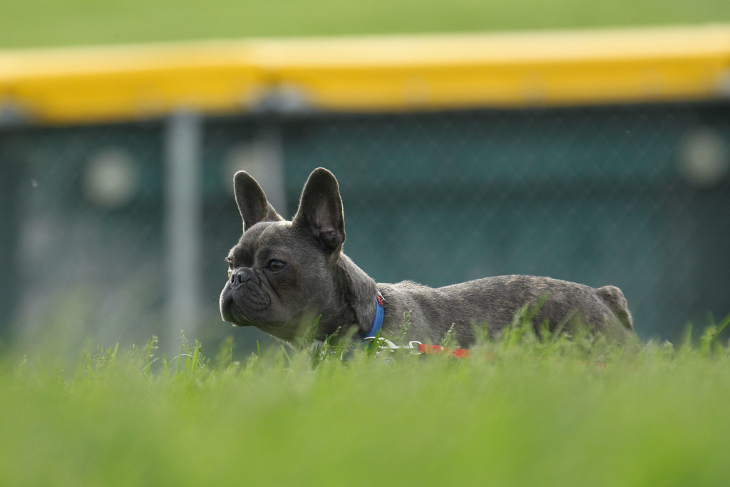 They're Social Media Gold Mines (Image Credits: Flickr)