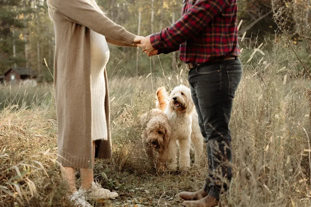 Reason 4 Vets Say You Should: Managing an Intact Large Female Is a Real Commitment (Image Credits: Unsplash)