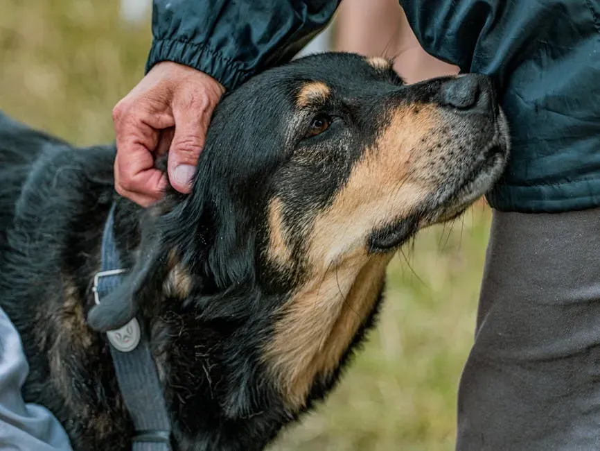 Reading Your Emotional State Before You Realize It's Changed (Image Credits: Pexels)