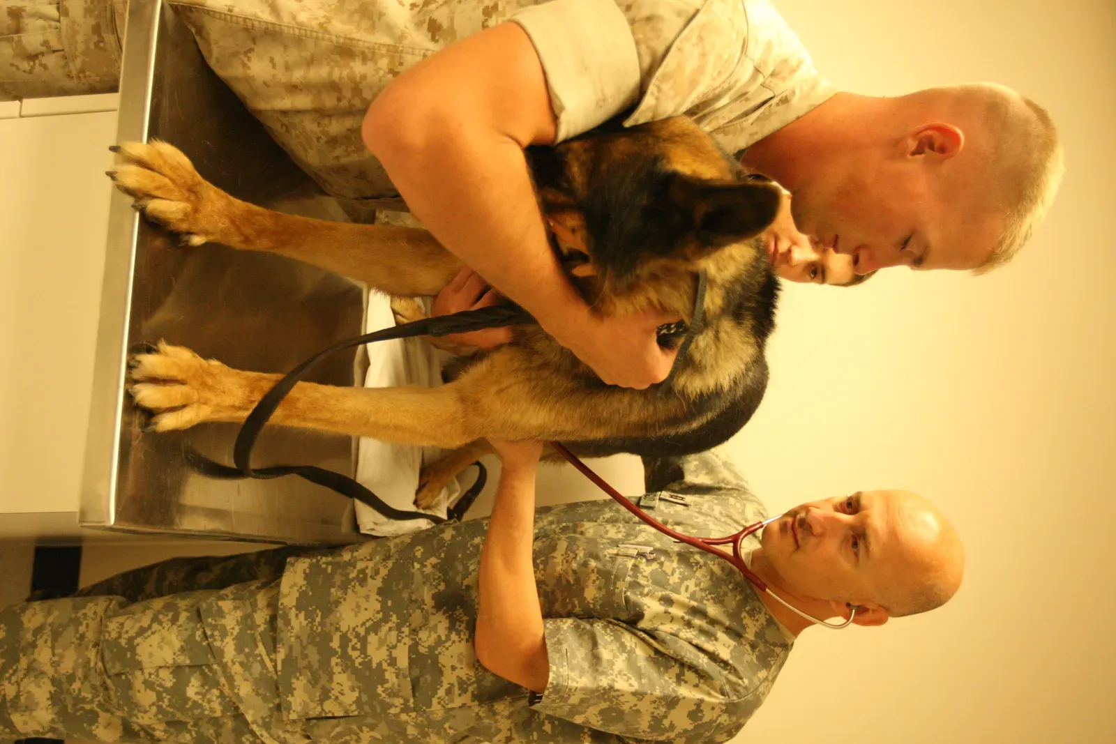 Housing Rights Under the Fair Housing Act (Image Credits: Wikimedia)