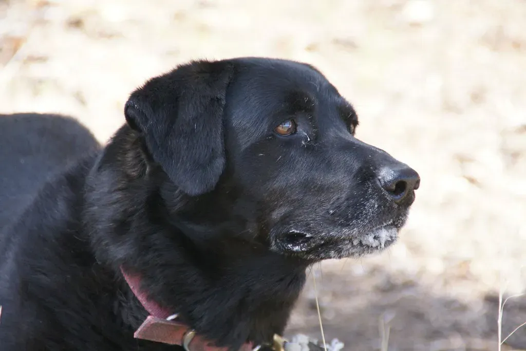 1. Let Yourself Feel It All Without Apology (Image Credits: Flickr)