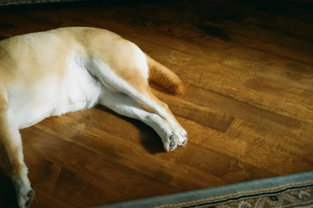 1. Tackle Those Slippery Floors Before They Cause a Fall (Image Credits: Unsplash)