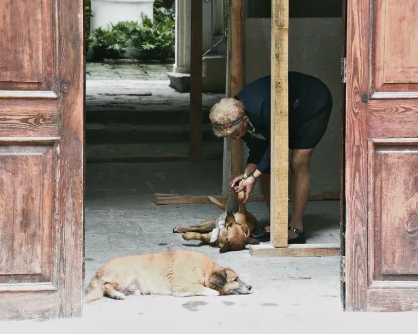 #6 - They Nap Less Deeply, But More Often, Near Doorways (Image Credits: Pexels)