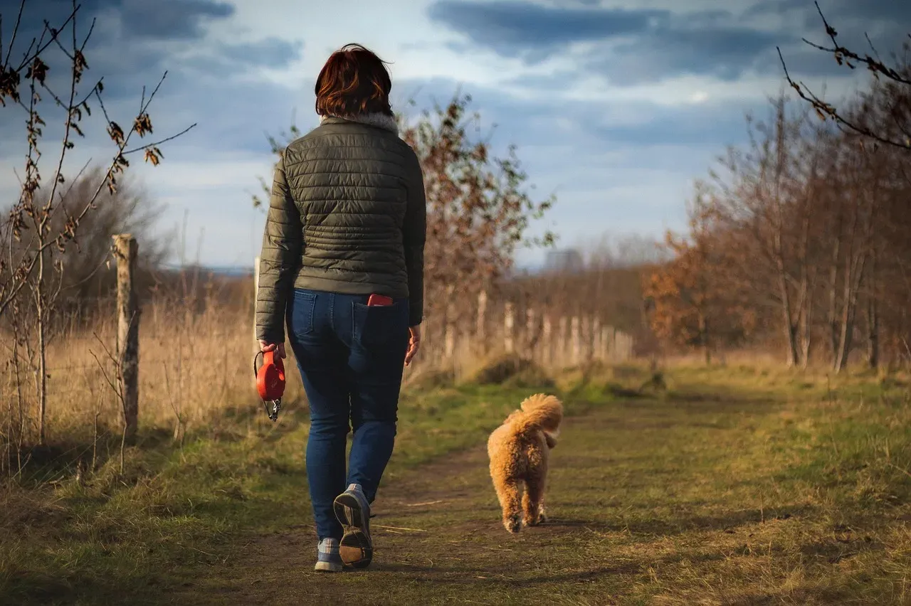 #14 - Using Walks Only to "Burn Energy" (Image Credits: Pixabay)