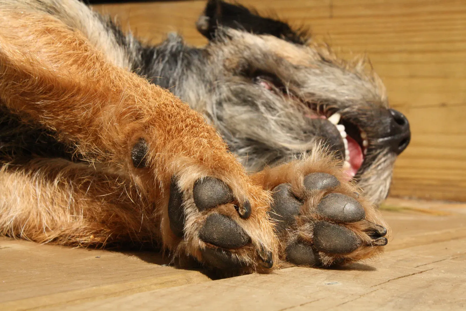 Conclusion (Image Credits: Wikimedia)