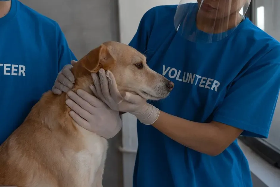 #5 - How Your Dog Handles a Stranger's Touch (Image Credits: Pexels)