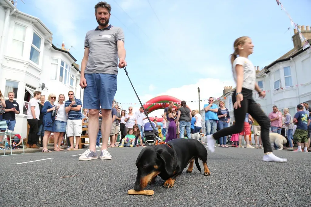 #3 - The Instant, Unshakeable Dachshund Community (The Big Lunch, Flickr, CC BY-SA 2.0)