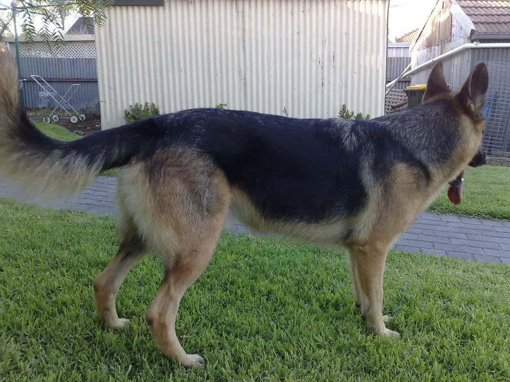 Spinal Issues Are More Common Than You'd Think (Image Credits: Flickr)