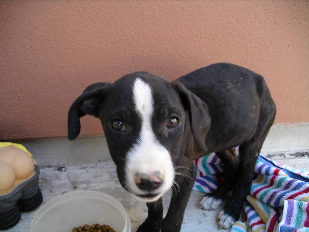 Protecting Yourself and Your Family (Image Credits: Flickr)