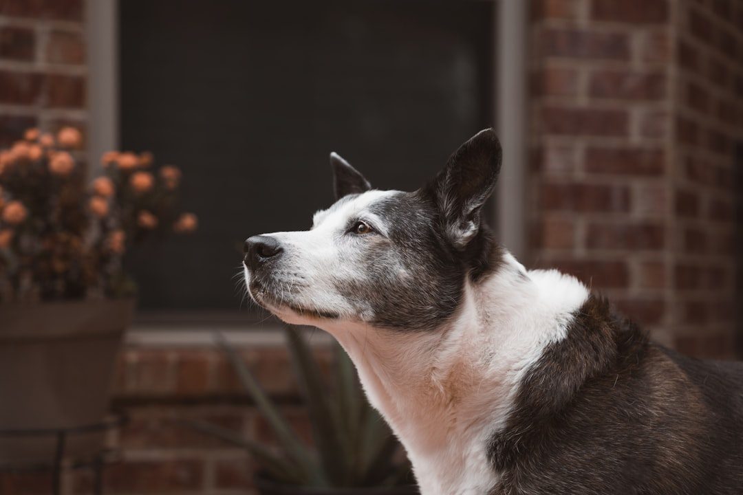 Misreading Their Body Language Signals (Image Credits: Unsplash)