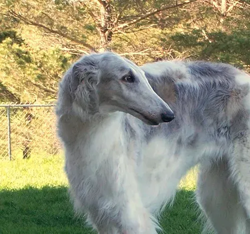 Making an Informed Choice (Image Credits: Flickr)