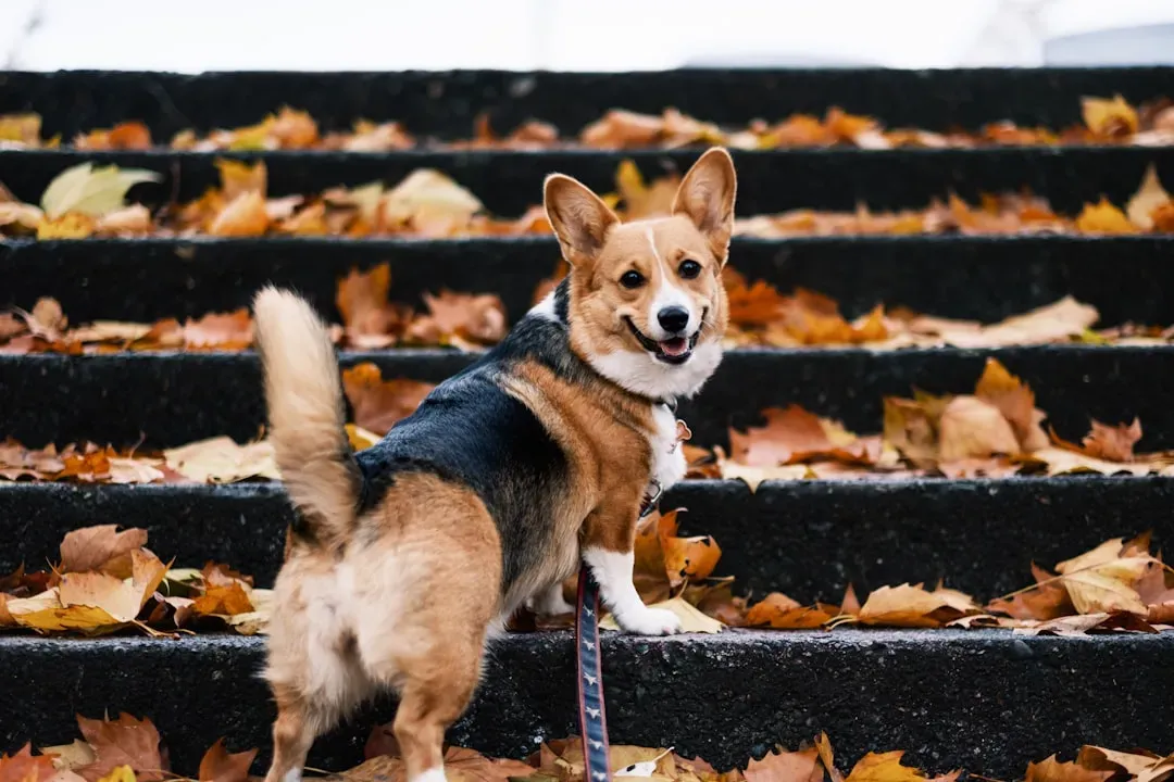 Your Emotional Goodbyes Are Creating Drama (Image Credits: Unsplash)