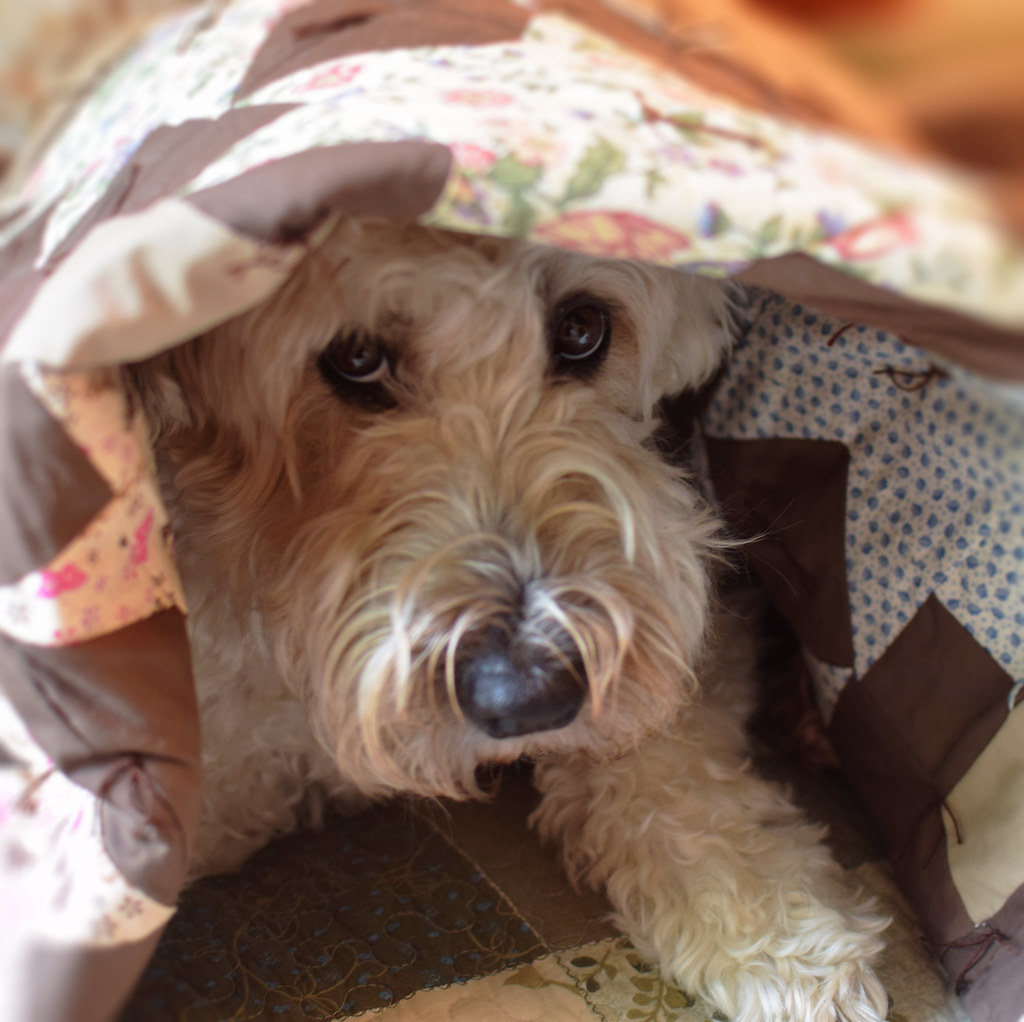 Turning Compassion into Action (Image Credits: Flickr)