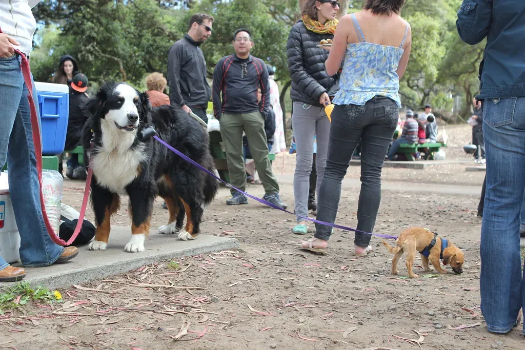 6. They Pull You Outdoors and Back Into the World (Image Credits: Flickr)