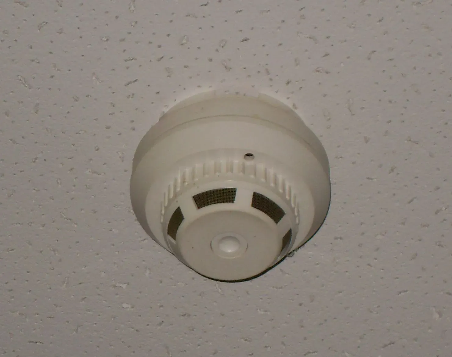 4. Smoke Detectors and Alarm Beeps (By Georg Pik, Public domain)