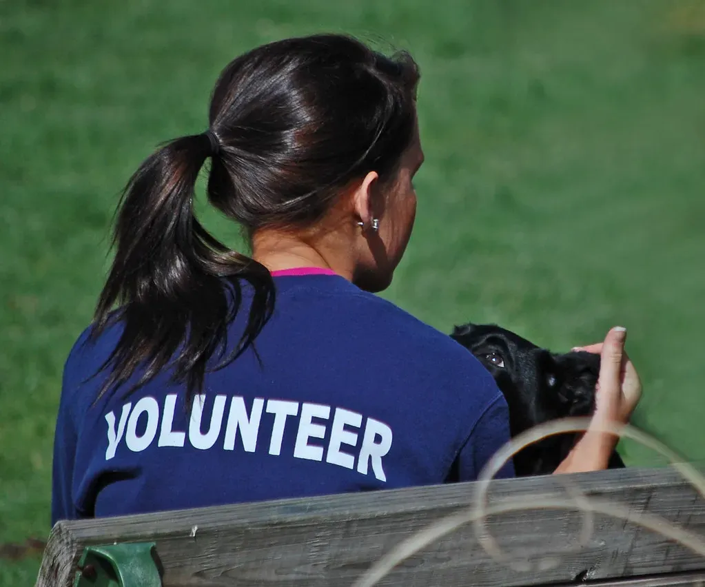 Conclusion (Image Credits: Flickr)