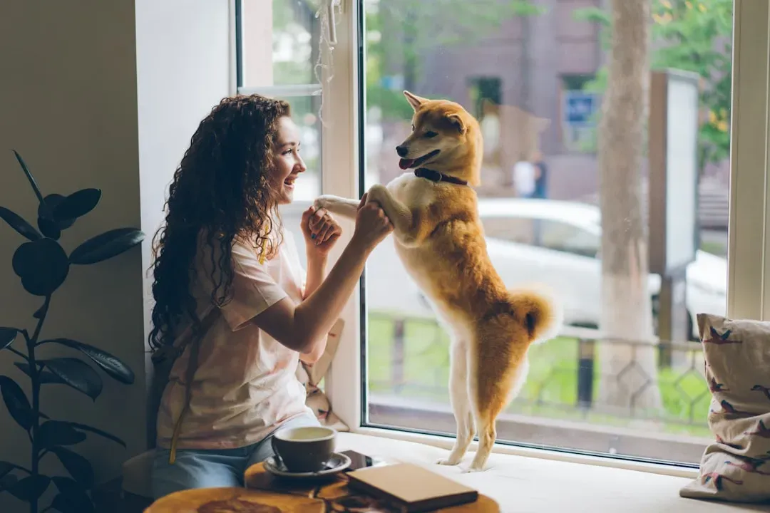 11. Your Dog Knows Whether Someone Is Trustworthy (Image Credits: Unsplash)