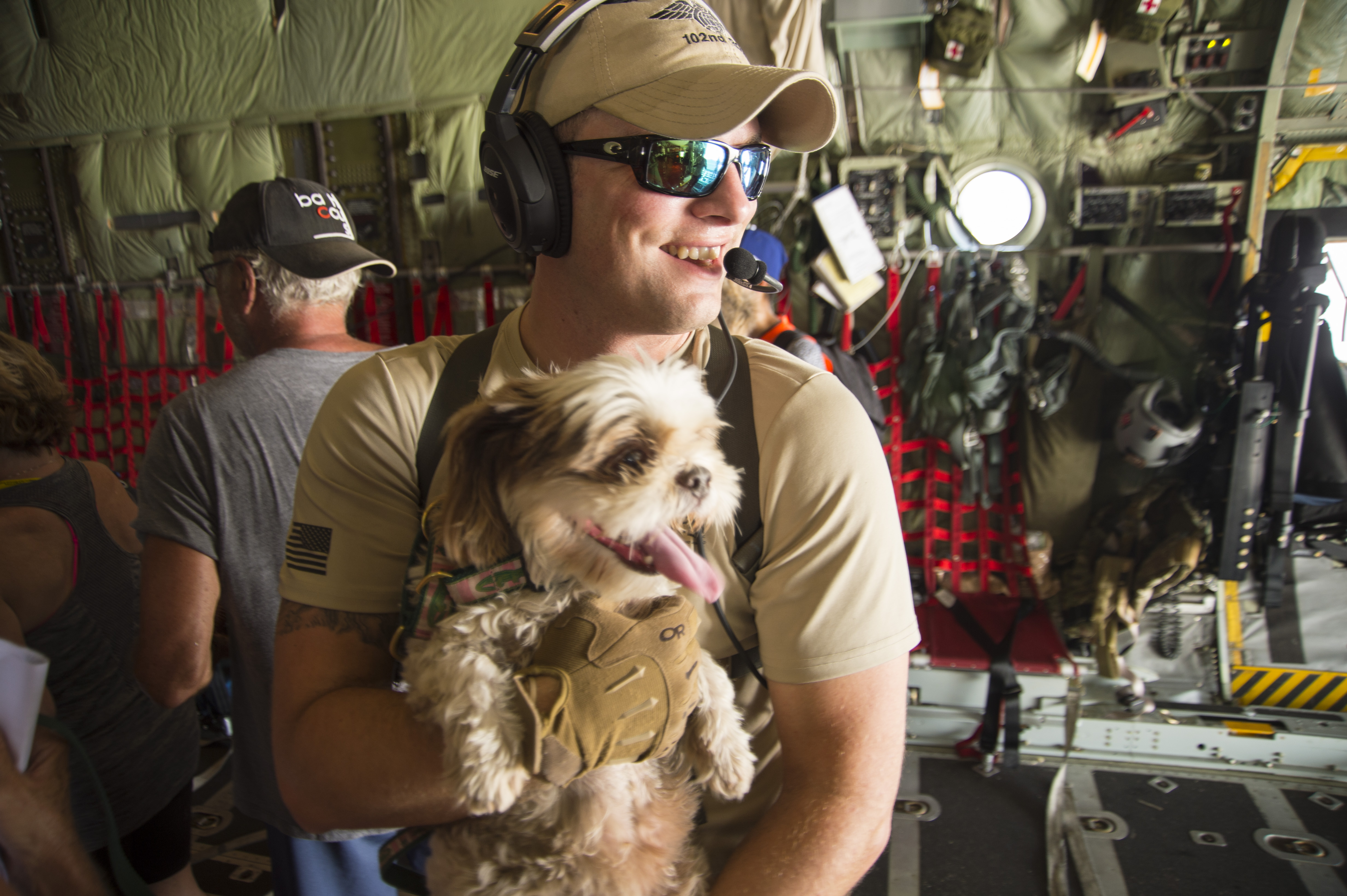 Understanding Your Rescue Dog's Hidden Zodiac (Image Credits: Wikimedia)