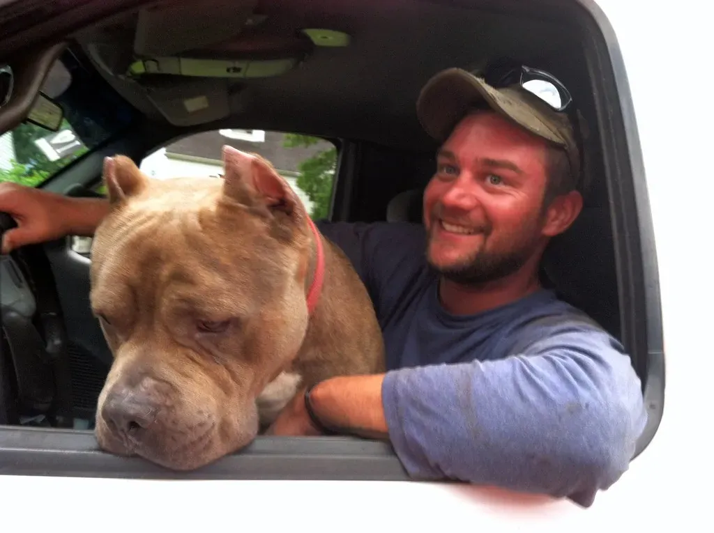 Conclusion: Judge the Deed, Not the Breed (Tobyotter, Flickr, CC BY 2.0)