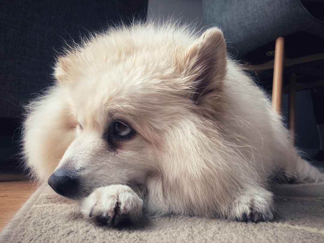 Physical and Emotional Symptoms to Watch For (Image Credits: Unsplash)