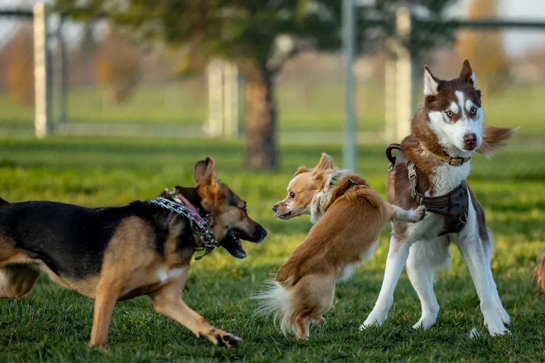 Building Confidence and Trust Through Teamwork (Image Credits: Unsplash)