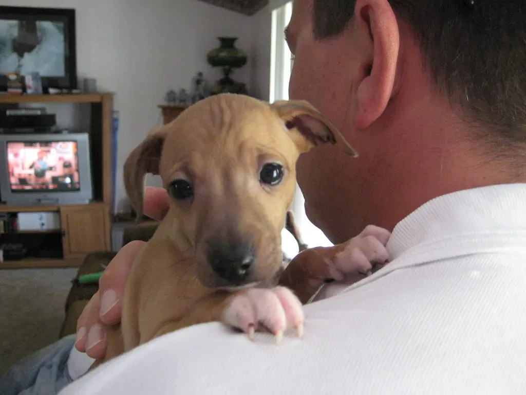 Sagittarius: The Freedom-Loving Explorer (Image Credits: Flickr)