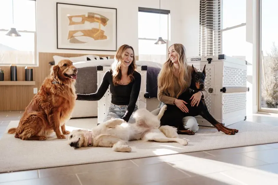 #12 - The Emotional Energy of Any Other Animals in the Home (Image Credits: Pexels)