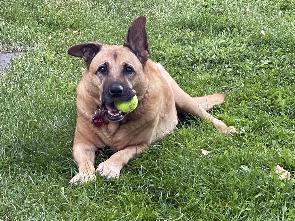 Burying Treasures and Hoarding Instincts (Image Credits: Flickr)