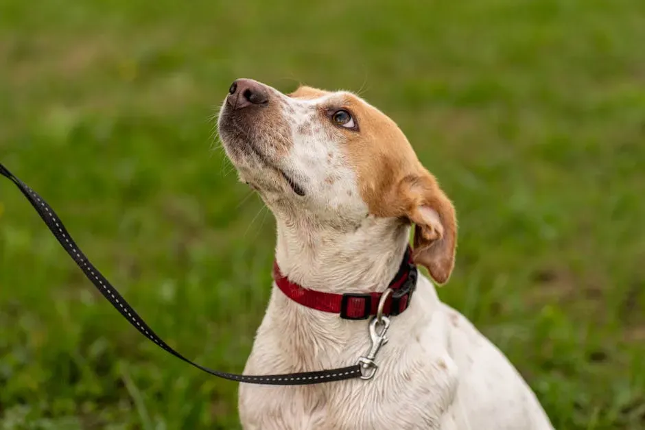 A Final Thought Worth Carrying With You (Image Credits: Pexels)