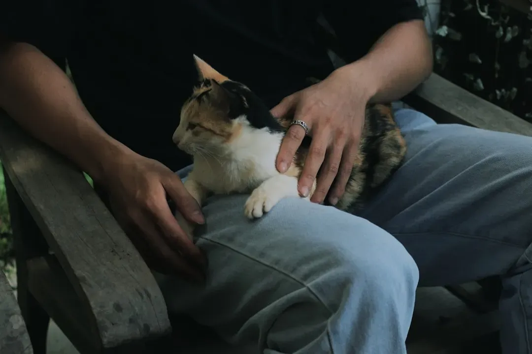 Kneading on Your Lap (Image Credits: Unsplash)