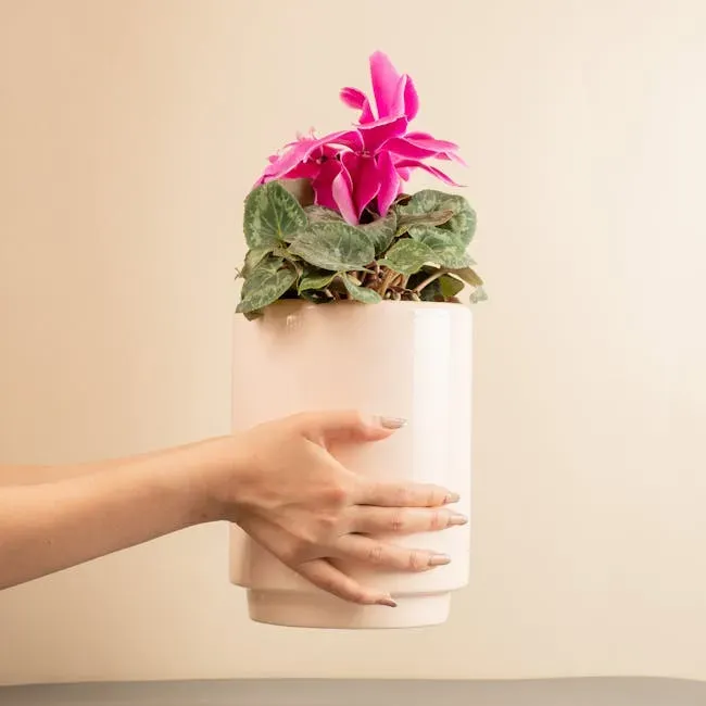 8. Cyclamen: The Festive Winter Plant With a Serious Warning (Image Credits: Pexels)