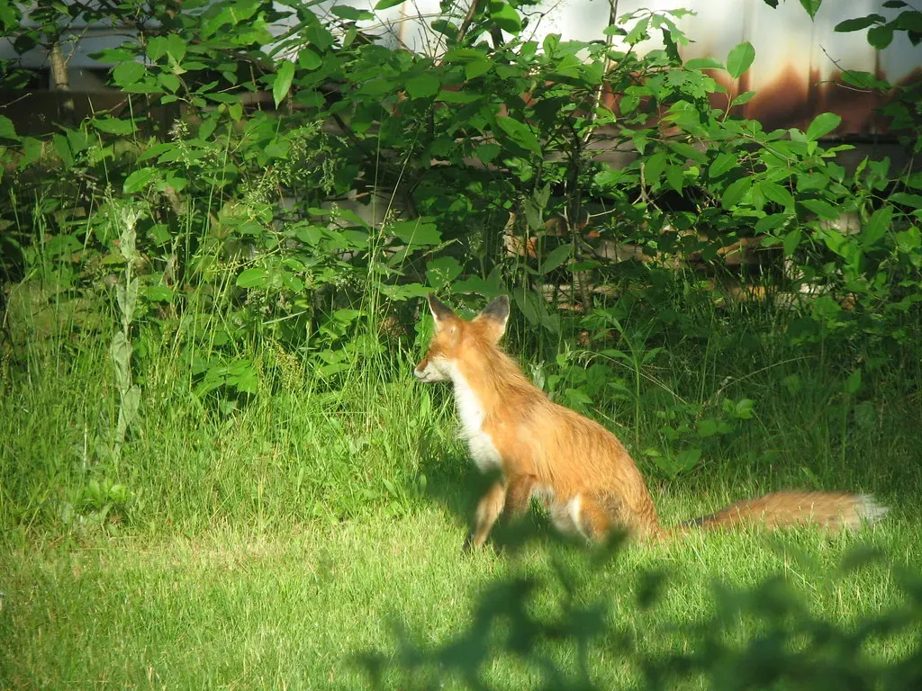 Conclusion (Image Credits: Flickr)