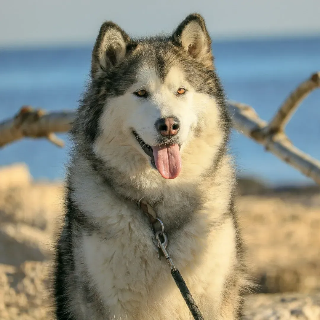 A Final Thought Worth Sitting With (Image Credits: Unsplash)