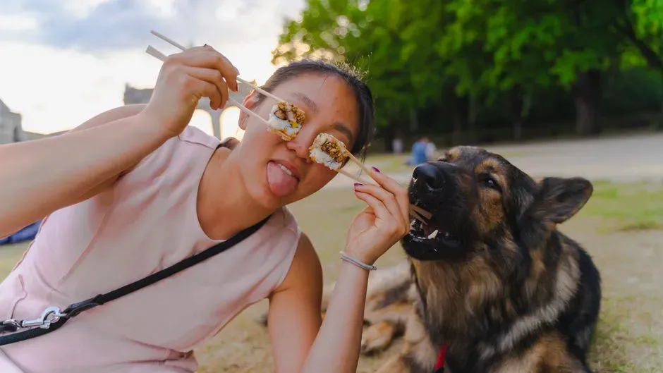 #8 - Researching Nutrition Like Amateur Canine Dietitians (Image Credits: Pexels)