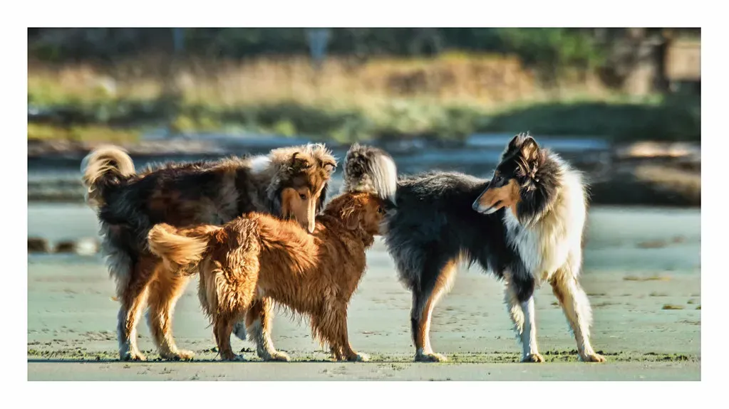 Step 4: Choose a Neutral Meeting Ground (marneejill, Flickr, CC BY-SA 2.0)