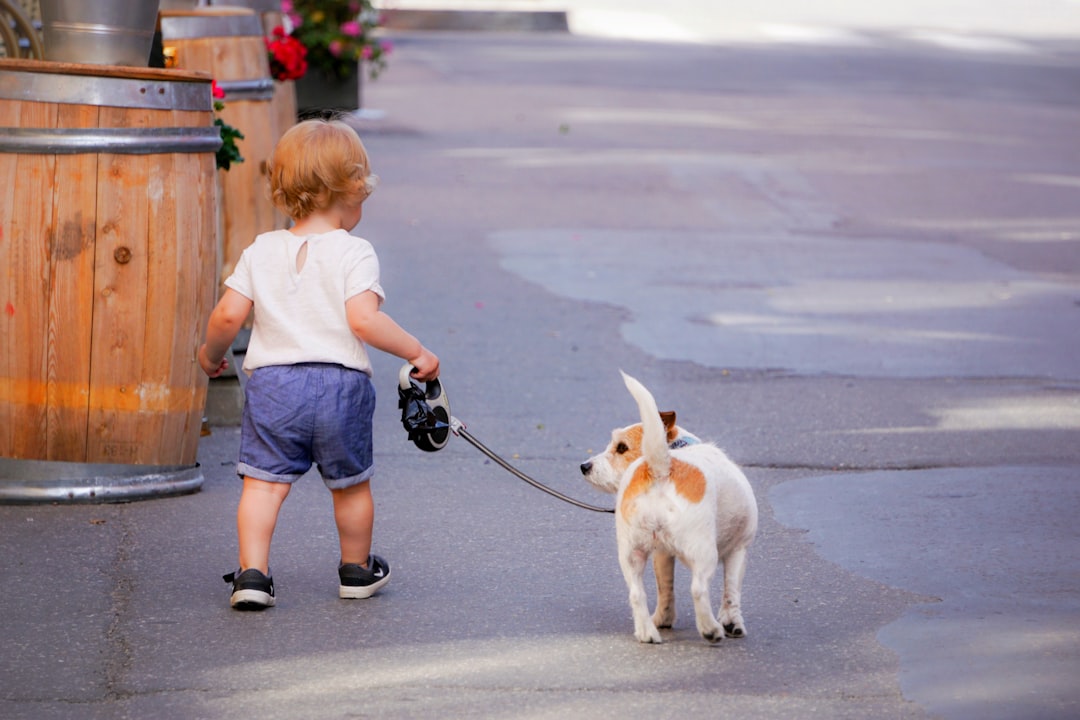 Conclusion: The Leash as Your Dog's Lifeline (Image Credits: Unsplash)