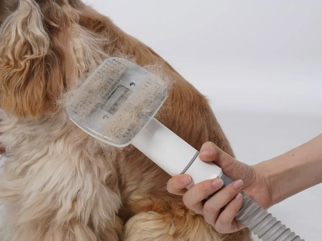 Using the Wrong Brush for Your Dog's Coat Type (Image Credits: Unsplash)