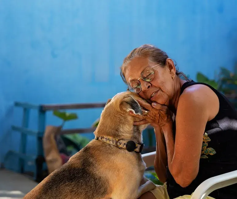 Senior Dogs Offer Deep, Soulful Emotional Bonds (Image Credits: Pexels)
