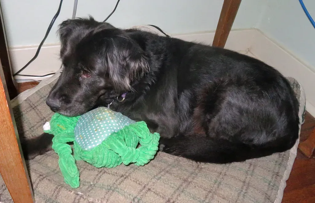 Conclusion (Image Credits: Flickr)