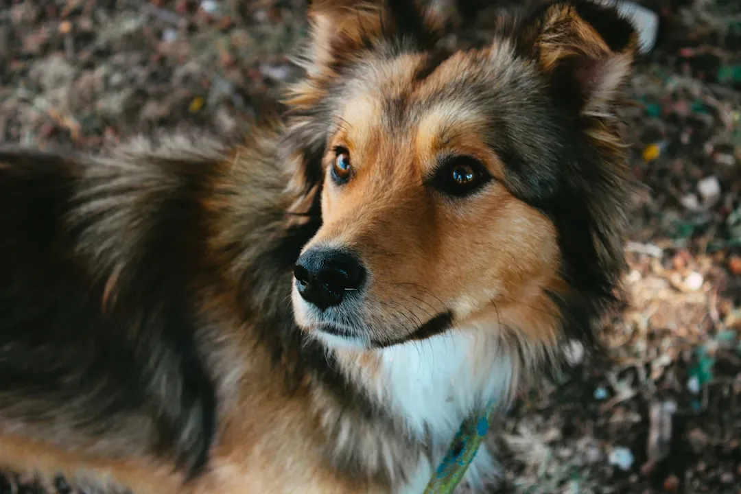 #7 - It Makes Prolonged, Soft Eye Contact (Image Credits: Unsplash)