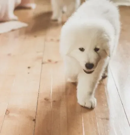 #11 - Slippery or Uncomfortable Flooring (Image Credits: Pexels)
