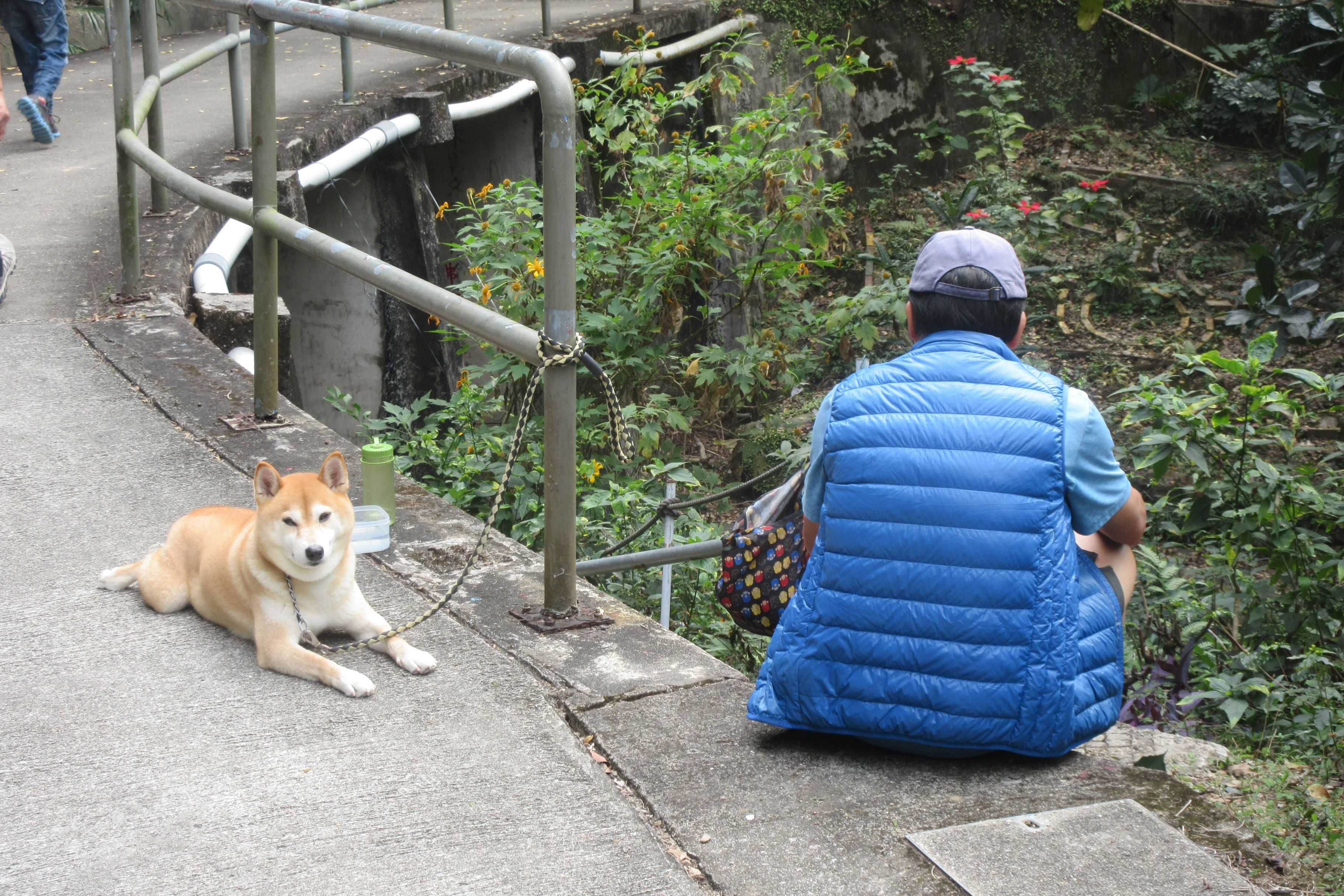 Year-Round Outdoor Activity Paradise (Image Credits: Wikimedia)