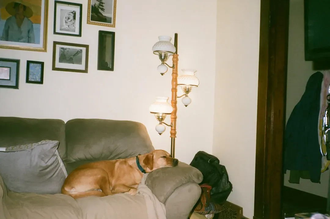 Physical Spaces That Bring Joy (Image Credits: Unsplash)