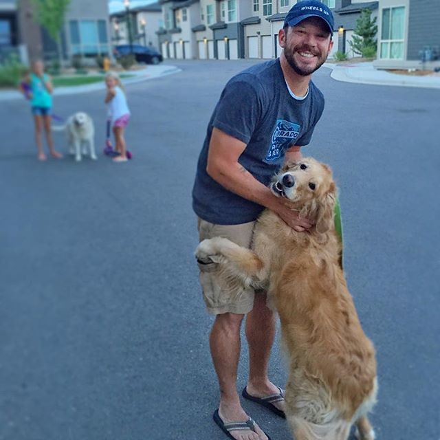 Golden Retriever - The Empathetic Family Companion (Image Credits: Flickr)