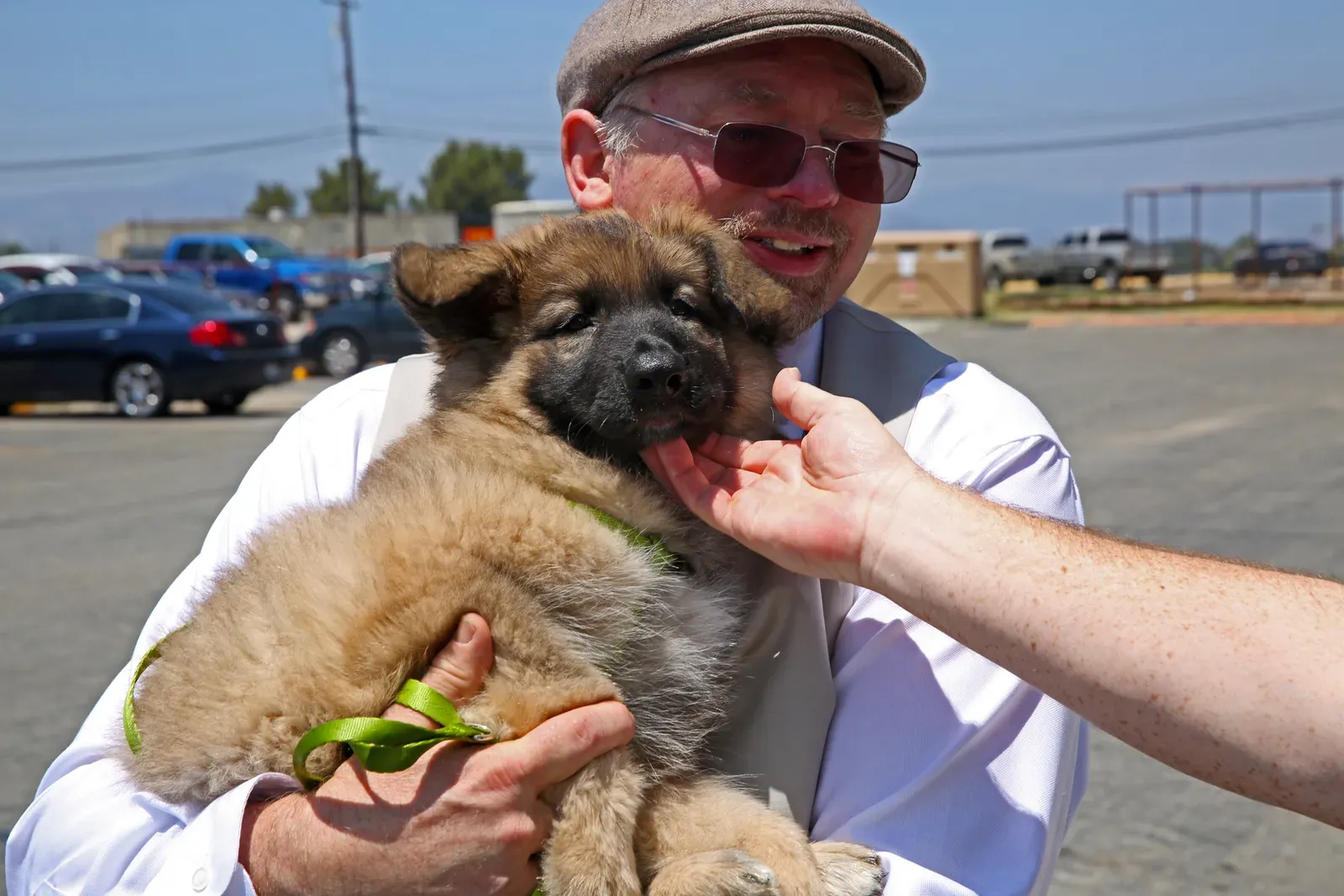 Dogs and Mental Health: More Than Just Good Company (By Cpl. Keenan Zelazoski, Public domain)