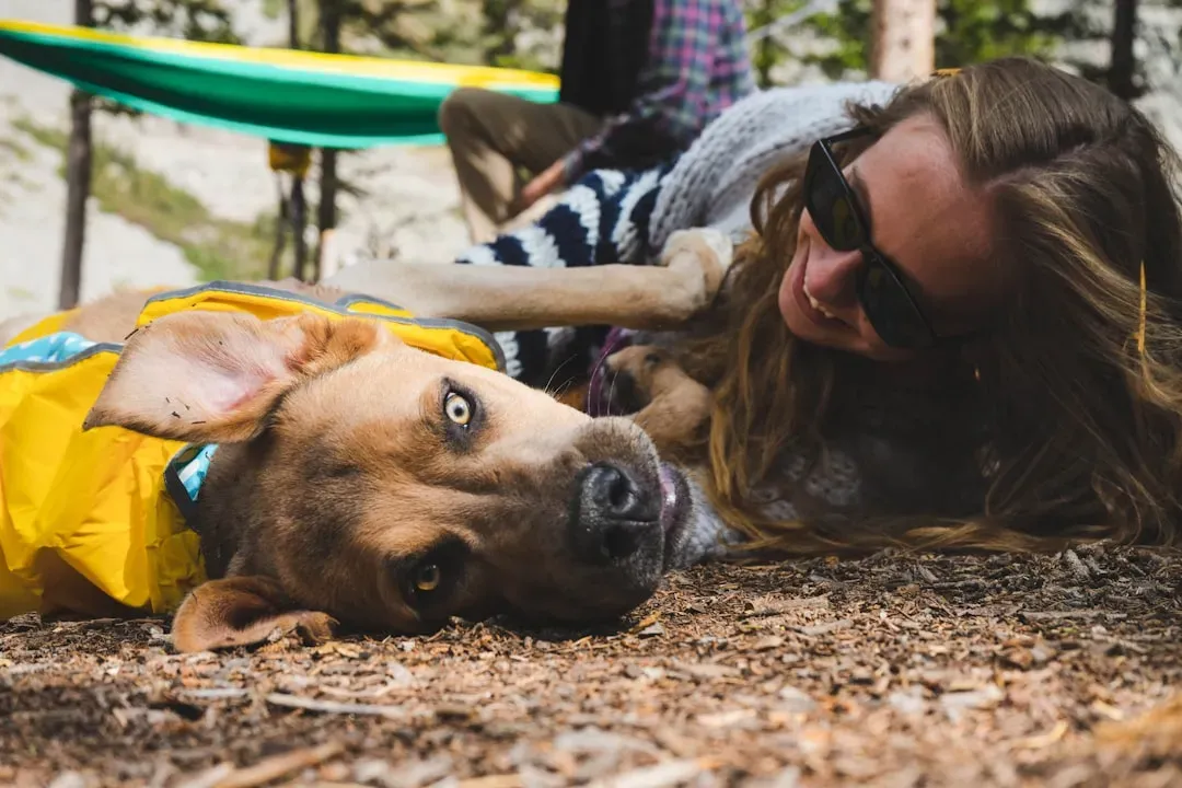 What You Can Actually Do to Help (Image Credits: Unsplash)