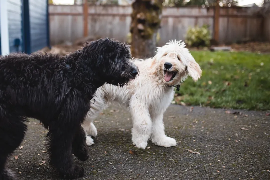 Seeking Extra Reassurance After Separation (Image Credits: Unsplash)